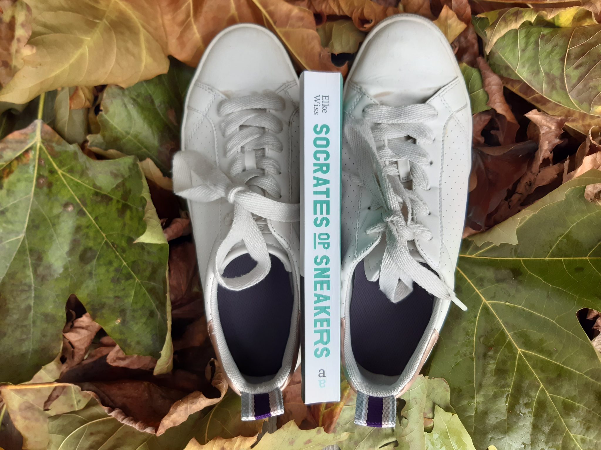 Denkkaravaan leest: Socrates op sneakers (Elke Wiss) - denkkaravaan.be